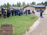 BP140425-50 - Ben Pauling Stable Visit